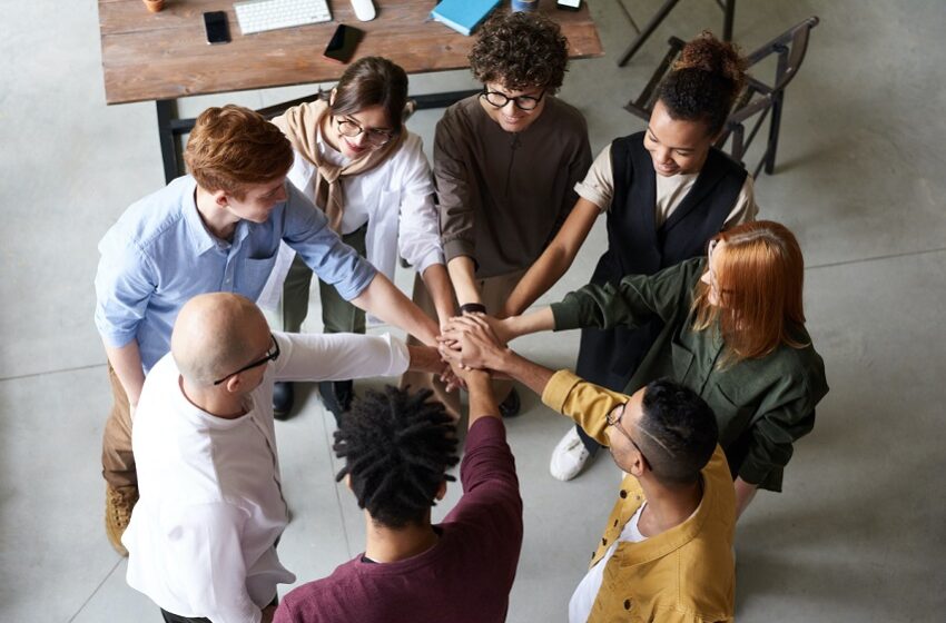 Professional HR Management for Startups