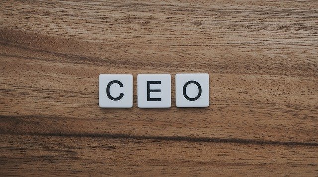  Step by Step Guide to be a Great Startup CEO